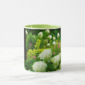 Limelight-Hydrangeas in meinem Rubio-Garten Tasse (Zentrum)