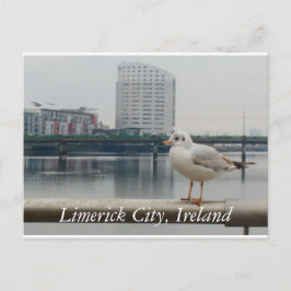 Limerick City, Irland Postkarte