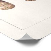 Limes (Citrus Aurantiifolia) Aquarellmalerei Poster (Ecke)