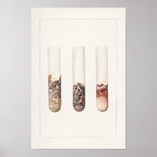 Limes (Citrus Aurantiifolia) Aquarellmalerei Poster