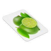 Limes Magnet (Rechte Seite)