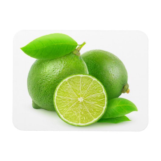 Limes Magnet (Horizontal)