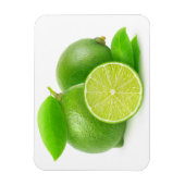 Limes Magnet (Vertikal)