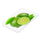Limes Magnet (Linke Seite)