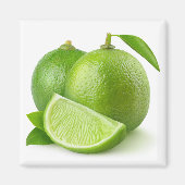 Limes Magnet (Vorne)