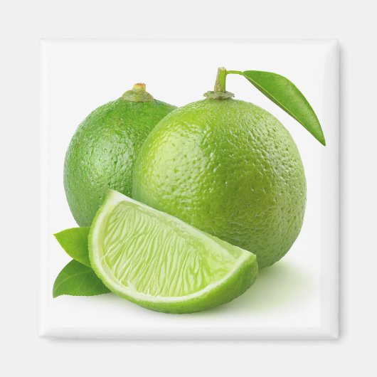 Limes Magnet (Vorne)