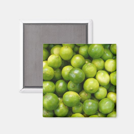 Limes Magnet 01 (Vorderseite/Rückseite)