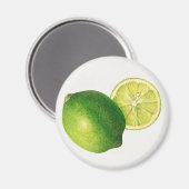 Limette Magnet (Vorderseite/Rückseite)
