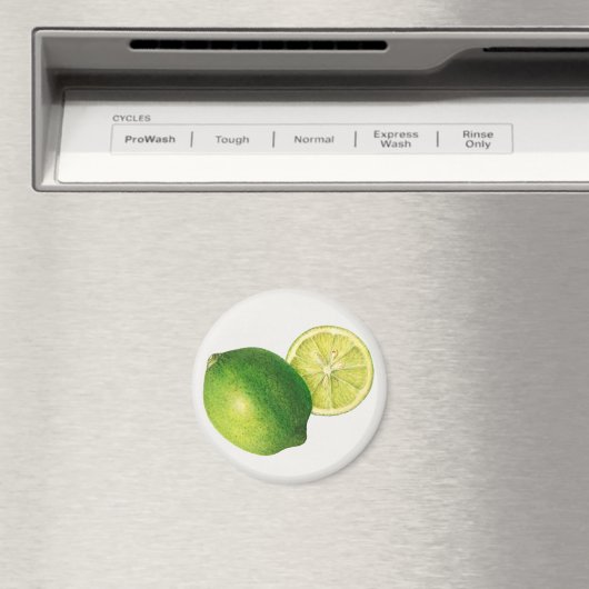 Limette Magnet (In Situ (Geschirrspüler))
