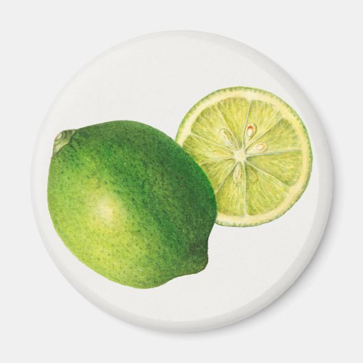 Limette Magnet (Vorne)