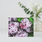 Limettenstrauch Postkarte (Stehend Vorderseite)