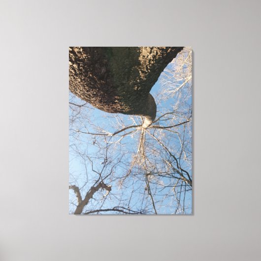 Limit Leinwanddruck (Vorderseite)