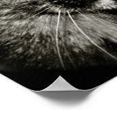 Limited Edition Monkey Cat Canvas Print Poster (Ecke)