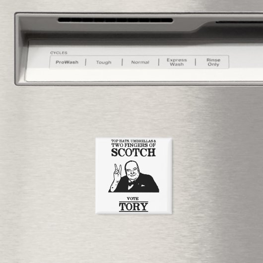 Limited Edition Vote Tory Magnet (In Situ (Geschirrspüler))