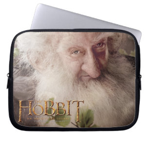 Limitierte Edition Artwork: Balin Laptopschutzhülle