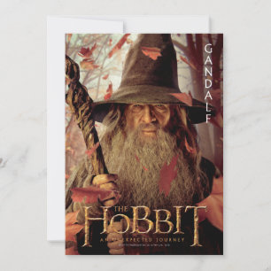 Limitierte Edition Artwork: Gandalf