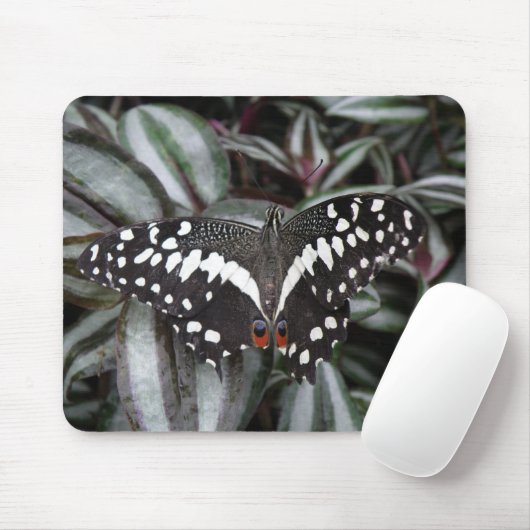Limon Butterfly Mousepad (Mit Mouse)