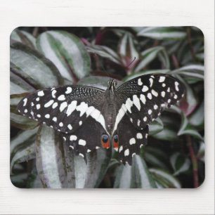 Limon Butterfly Mousepad