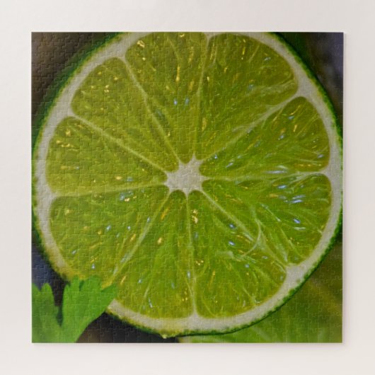 Limon & Cilantro - 20x20 - 676 pc Puzzle (Horizontal)
