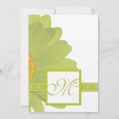 Limon & Fuchsia Gerber Daisy Wedding Einladung (Rückseite)