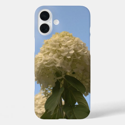 Limon Hydrangea Blume Blue Sky Case-Mate iPhone Hülle (Rückseite)