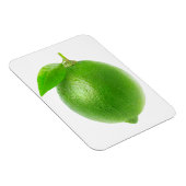 Limon Magnet (Rechte Seite)