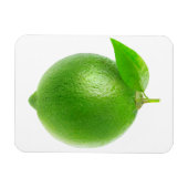 Limon Magnet (Horizontal)