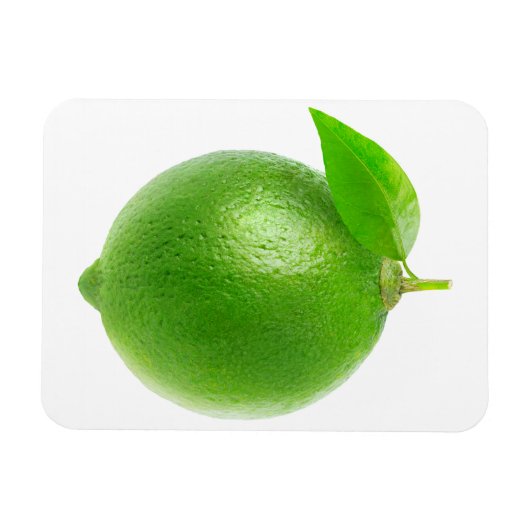 Limon Magnet (Horizontal)