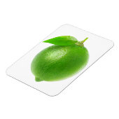 Limon Magnet (Linke Seite)