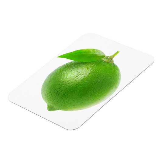 Limon Magnet (Linke Seite)