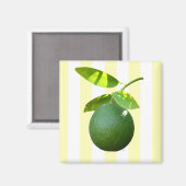 Limon Magnet (Vorderseite/Rückseite)