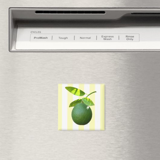 Limon Magnet (In Situ (Geschirrspüler))