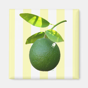 Limon Magnet