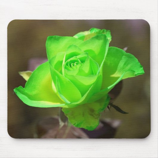 Limon-Rose Mousepad (Vorne)
