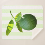 Limon Sherpa Blanket Sherpadecke (Vorderseite (Horizontal))