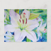 Limon Zest Postkarte (Vorderseite)