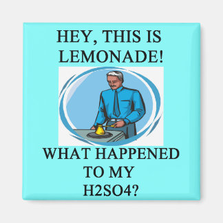 Limonade h2so4 Witz Magnet