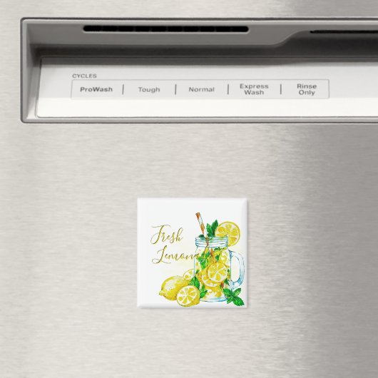 Limonade Magnet (In Situ (Geschirrspüler))