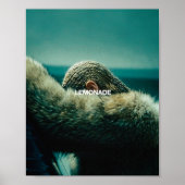 LIMONADE POSTER (Vorne)