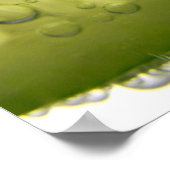Limone Slice Bubbles Food Fotografy Prints Poster (Ecke)