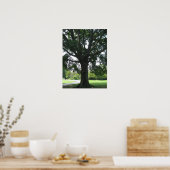 Limonen Poster (Küche)