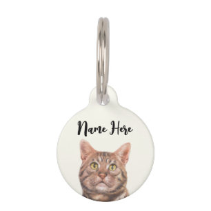 Limonengelbe American-Shorthair-Katze Haustiermarke