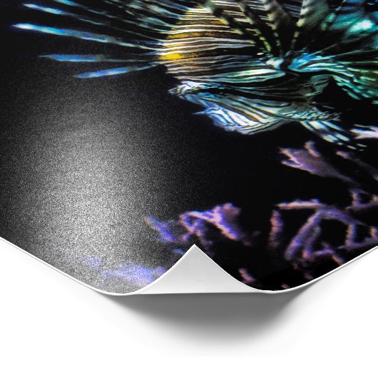 Limonenschwimmen Fotodruck (Ecke)