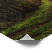 Limoner Baumpfad Poster (Ecke)