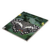 Limoner Schmetterling und Blume Fliese (Seite)