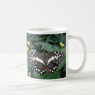 Limoner Schmetterling und Blume Kaffeepause Tasse