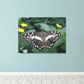 Limoner Schmetterling und Blume Leinwand (Insitu (Holzboden))