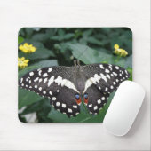 Limoner Schmetterling und Blume Mousepad (Mit Mouse)