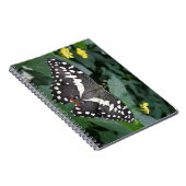 Limoner Schmetterling und Blume Notizblock (Rechte Seite)