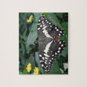 Limoner Schmetterling und Blume Puzzle (Vertikal)